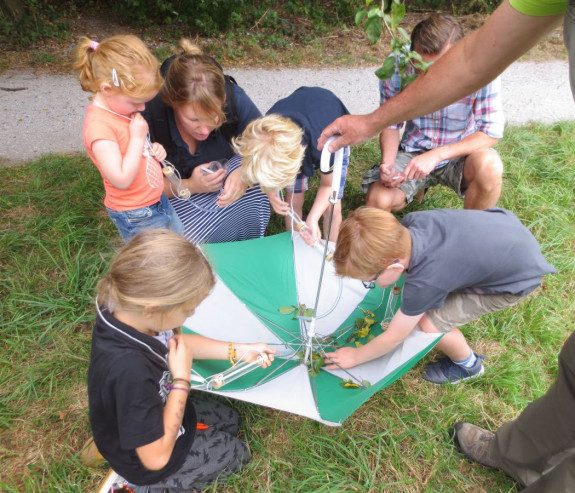 Kleine beestjes
