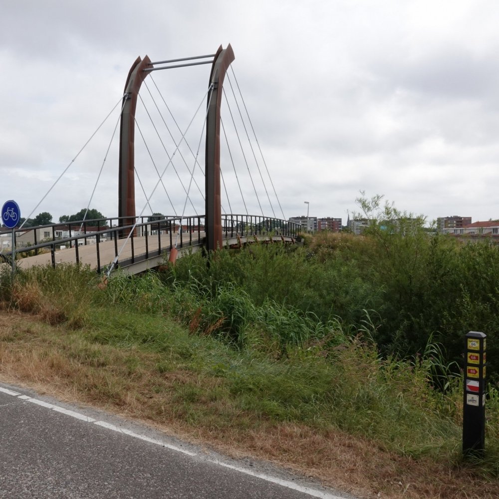 Duindoornwandeling in Berkheide
