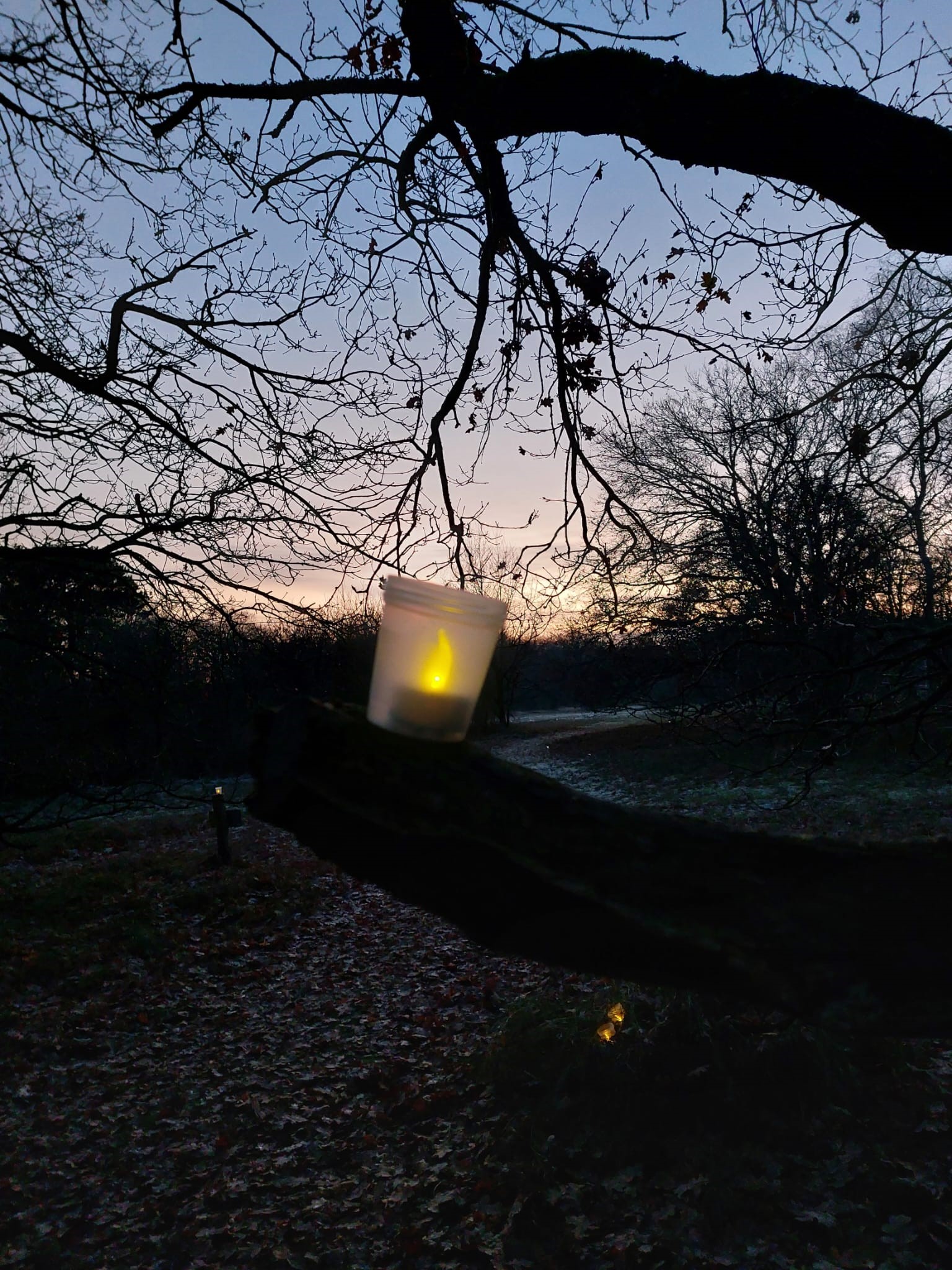 Kaars in een lantaarn hangt aan tak, tegen schemerige herfstlucht.