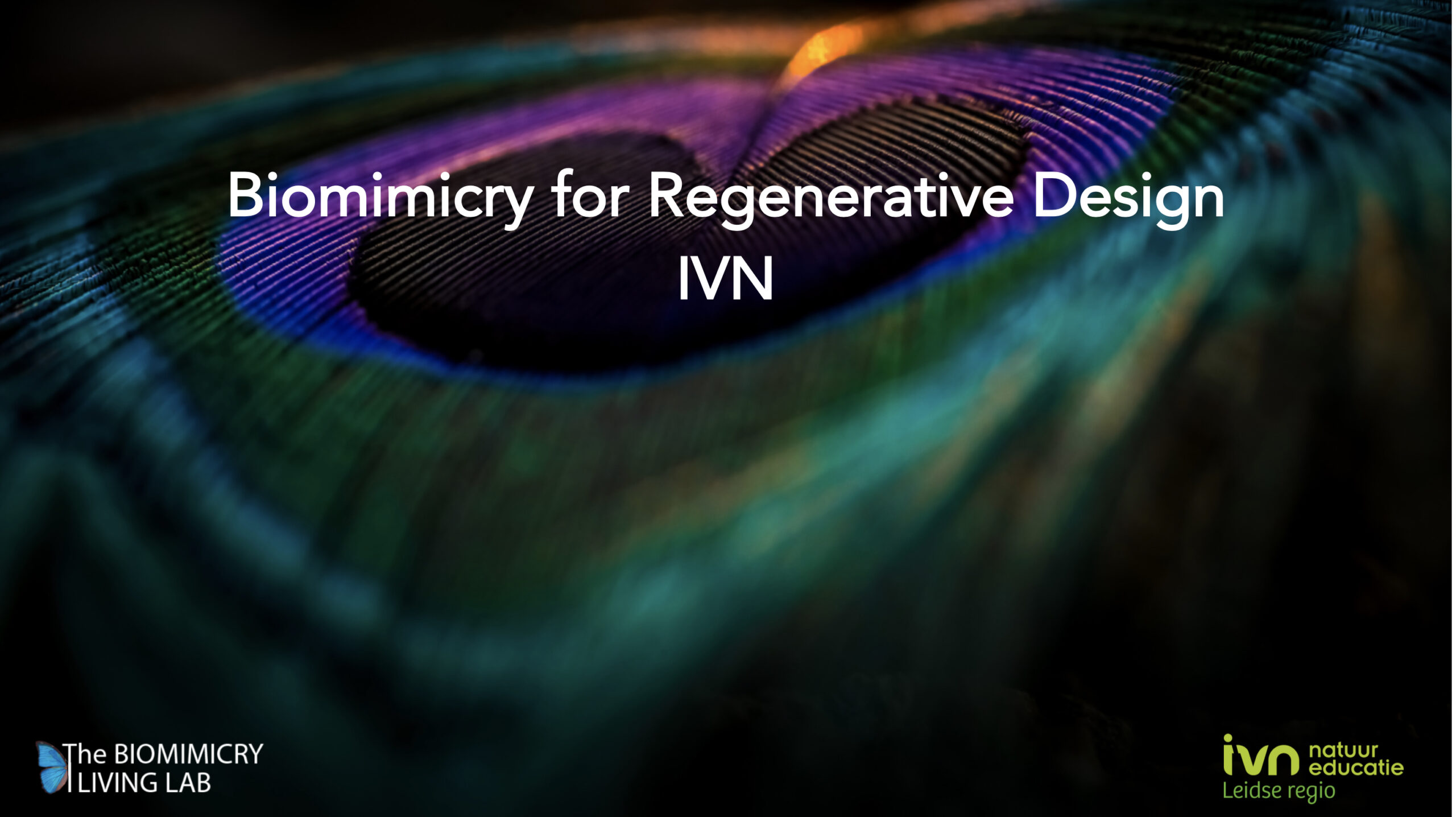 Close-up van een pauwenveer met de tekst: "Biomimicry for Regenerative Design IVN".