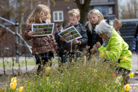 Kinderen en een oudere vrouw bekijken plantgidsen in een tuin met geel bloeiende bloemen.