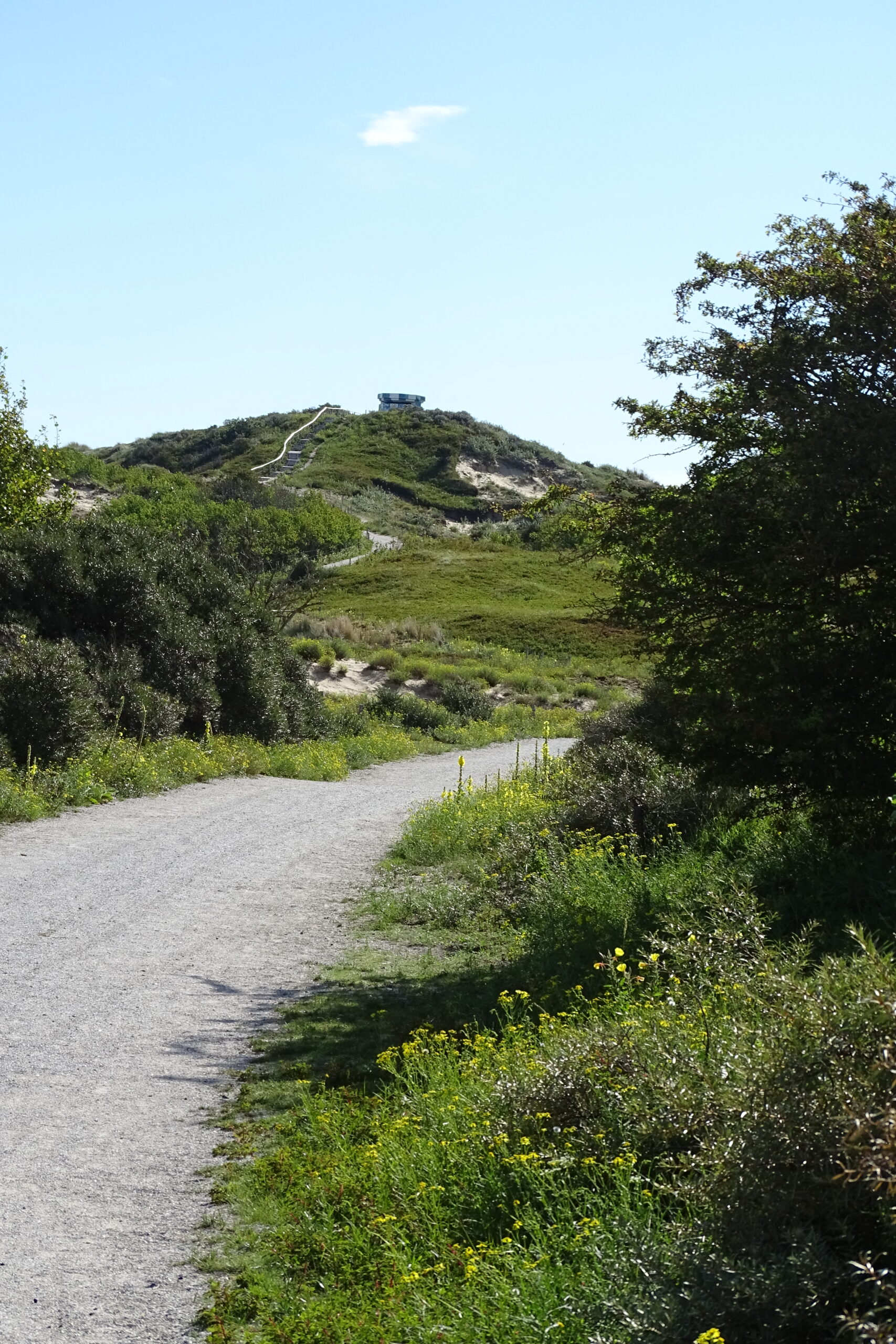 Een kronkelend pad door groene duinen met een blauw hemel en een uitkijkpunt bovenaan.
