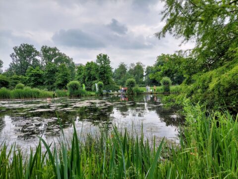 Rustige vijver, omgeven door groene bomen en riet, met mensen kijkend vanaf de oever.