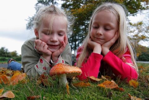 Twee kinderen kijken nieuwsgierig naar een vliegenzwam in het gras, omringd door herfstblaadjes.
