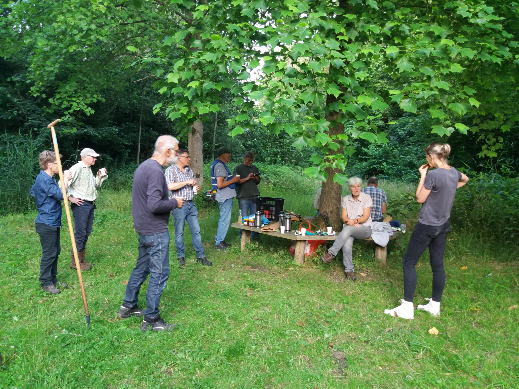 Bergbos maaien met de zeis