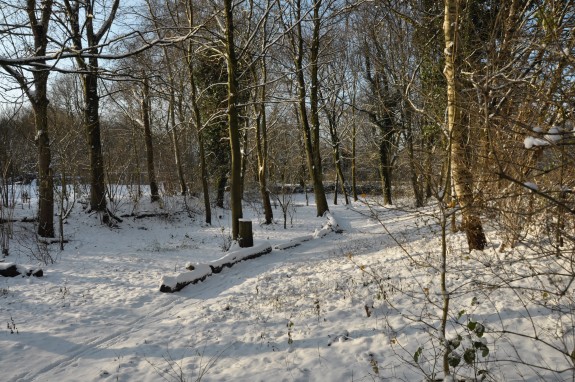 Sneeuw in de Heemtuin