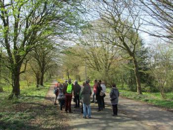 Excursie Stinzenplanten