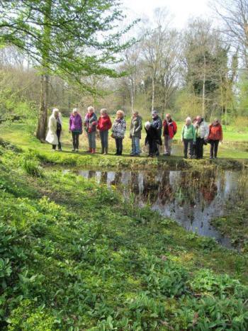Excursie Stinzenplanten