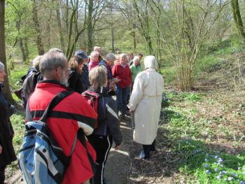 Excursie Stinzenplanten