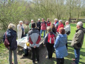 Excursie Stinzenplanten