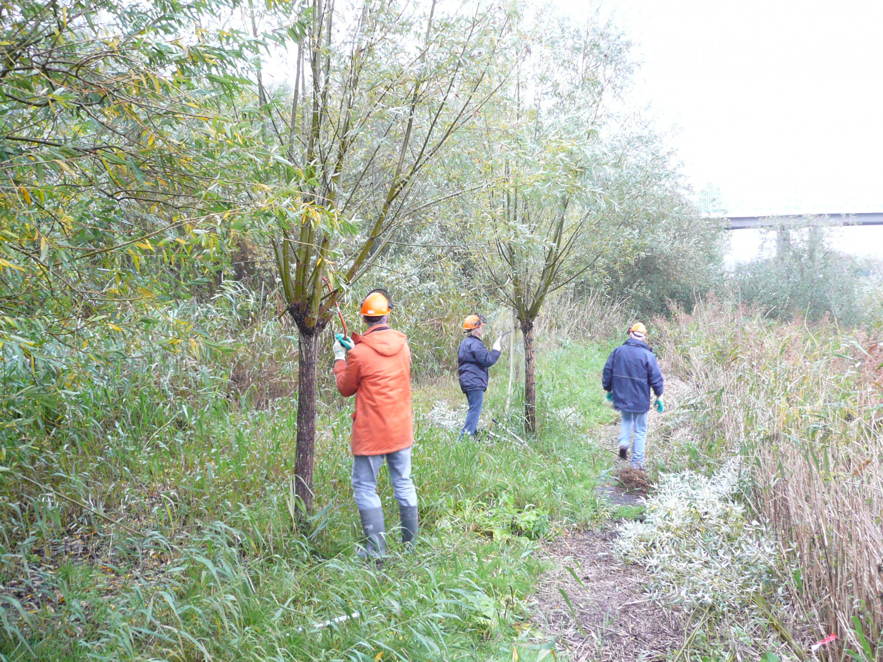 Onderhoud Kwelstrook Batavia