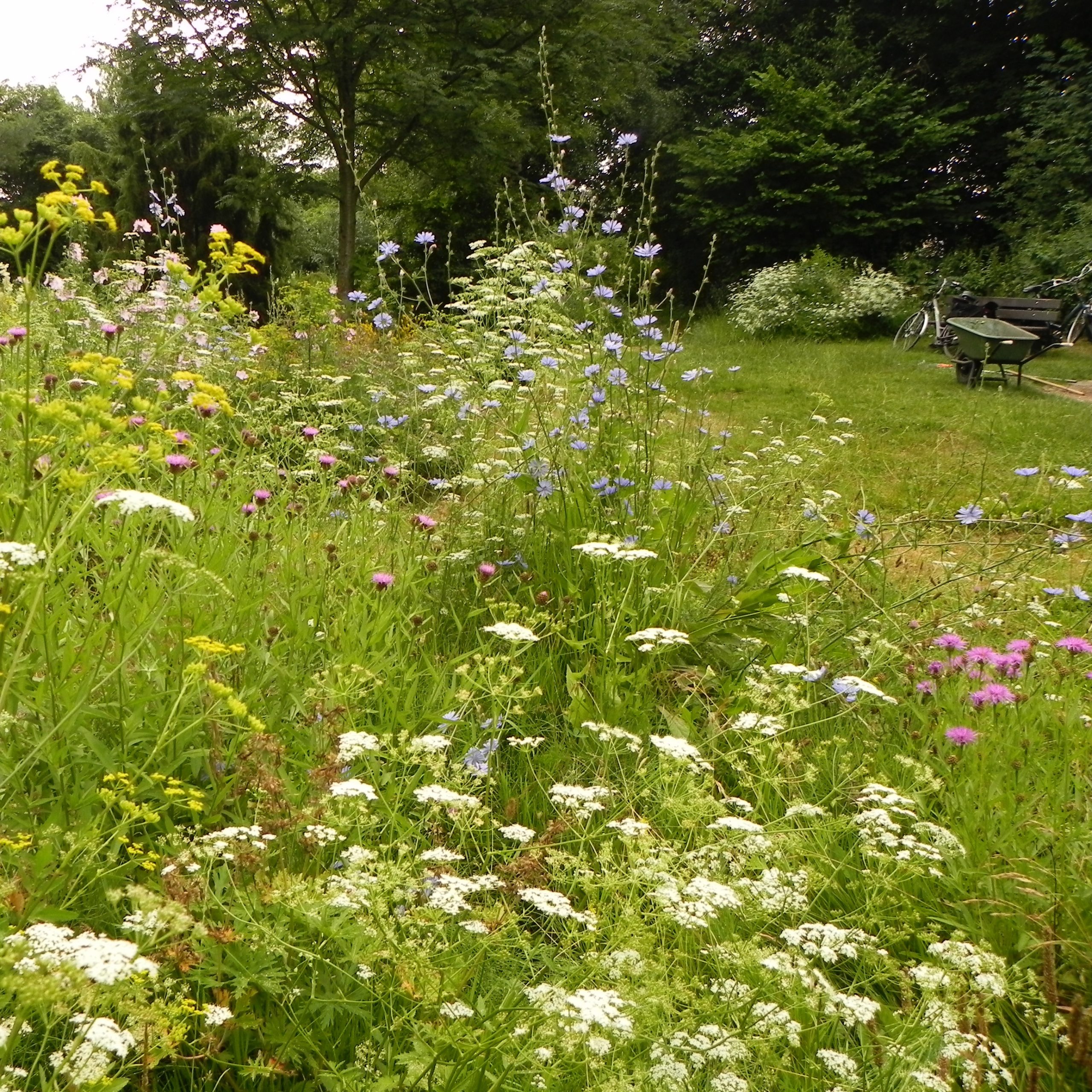 Meewerken Heemtuin