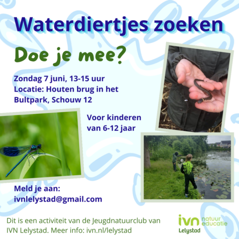 Flyer voor kinderen om waterdiertjes te zoeken in het Bultpark, met foto's van natuur en activiteit.