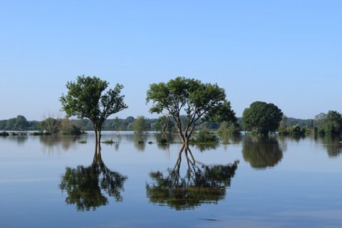 hoogwater_afferden_aan_de_maas