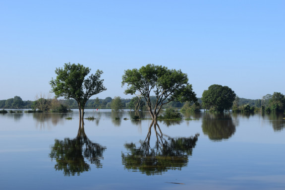 Hoogwater