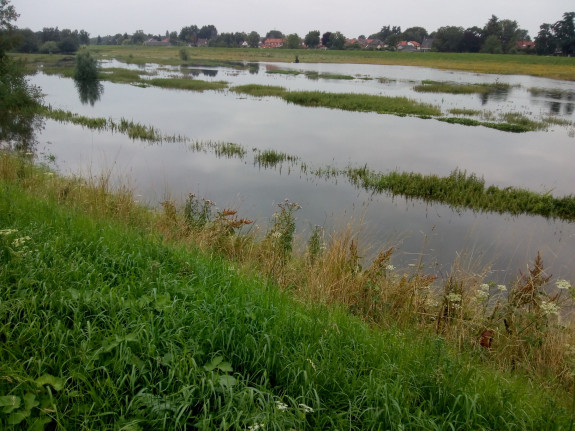 Hoogwater begint altijd bescheiden! Foto op 18 juli vanaf de dijk in Gennep richting ,'t Zand Ottersum.