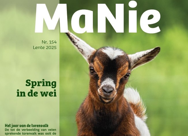 Tijdschriftcover met een geitje en de tekst "MaNie, Nr. 154, Lente 2025, Spring in de wei".