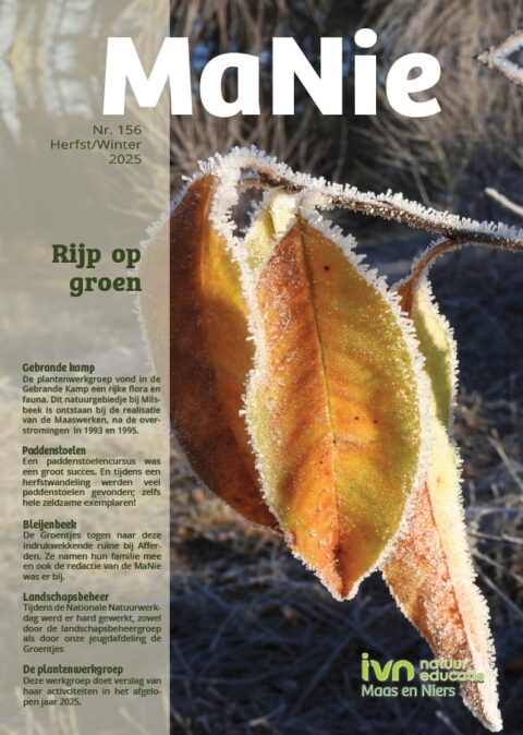 Tijdschrift MaNie herfst/winter 2025 met bevroren bladeren op de cover. Tekst over natuur.