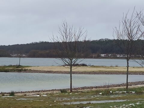 Kaal landschap met een meer, kale bomen, besneeuwd gras en bos op de achtergrond.