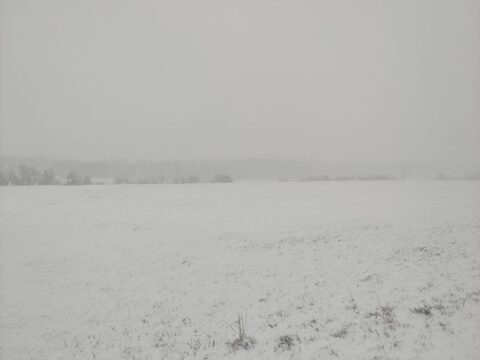 Sneeuw bedekt een uitgestrekt veld met wazige bomen in de verte onder een bewolkte hemel.