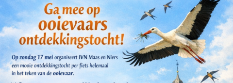 Poster voor een ooievaarsontdekkingstocht met ooievaars, bloemenveld en historisch gebouw.