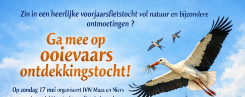 Poster voor een ooievaarsontdekkingstocht met ooievaars, bloemenveld en historisch gebouw.