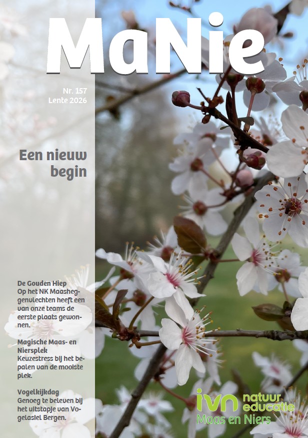 Tijdschriftcover met bloesemtakken en de titel "MaNie", lente-editie 2026, IVN Maas en Niers.