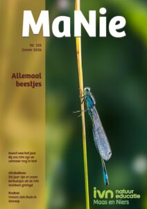 Omslag van tijdschrift "MaNie" met een turquoise libel op een stengel. Thema: "Allemaal beestjes".