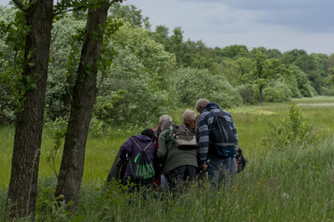 Groep mensen buigt zich over iets in het gras in een bosrijke omgeving.