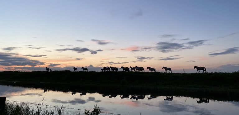 Foto van de maand mei 2021