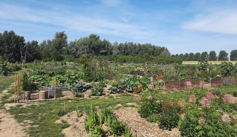 Moestuinieren en tuinieren