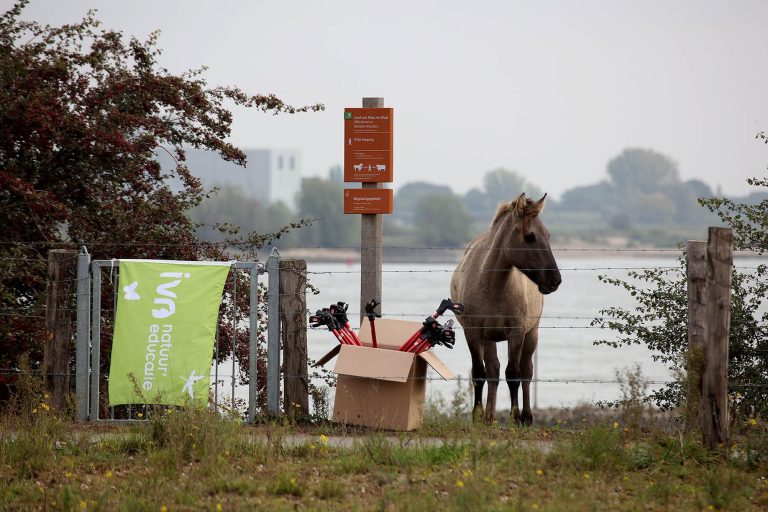 konik zonder SR logo