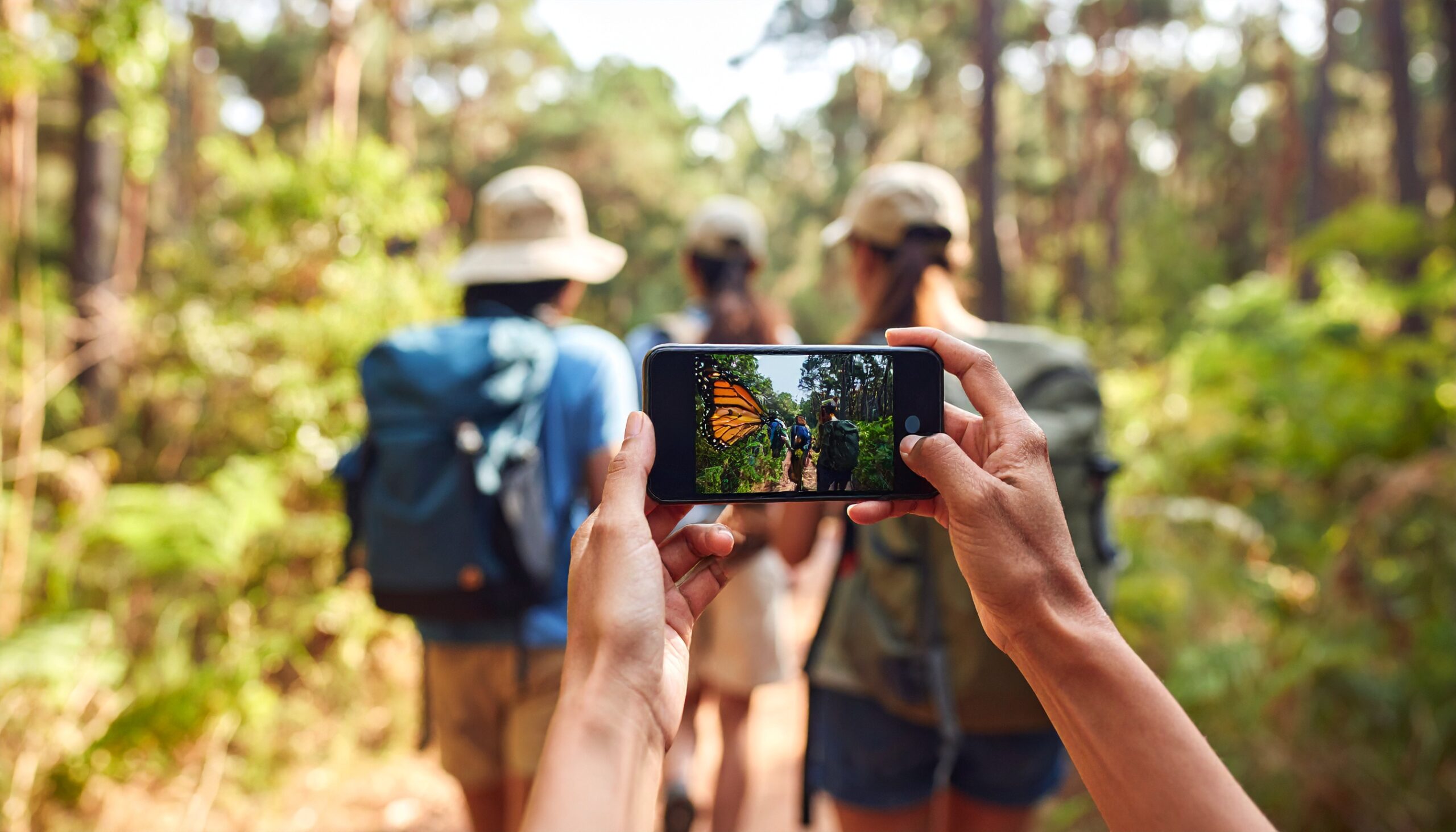 Een persoon maakt een foto van een vlinder op een smartphone tijdens een wandeling in het bos.