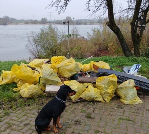 Hond zit naast stapel gele vuilniszakken aan rivier, sombere dag.