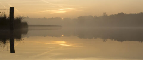 Mistige zonsopkomst boven een rustig meer met silhouetten van bomen en een oeverpaaltje.