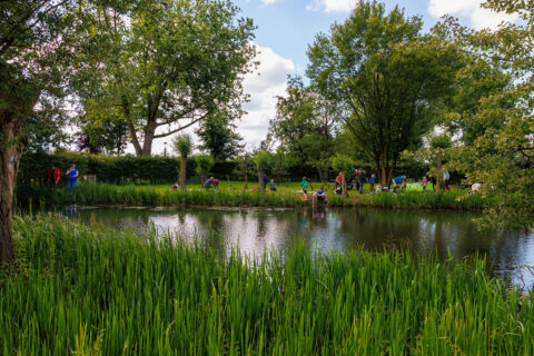 Mensen vissen bij een groene vijver, omringd door bomen en gras, onder een bewolkte lucht.