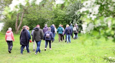 Groep mensen wandelt door een groen, bosrijk park in een informele setting.