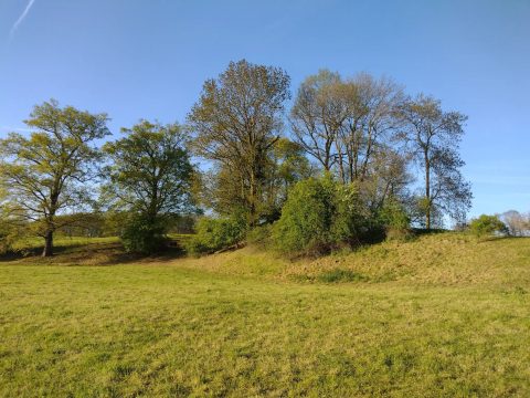 Oppidum Casseert