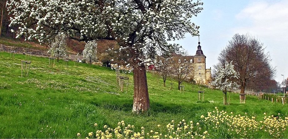 Chateau Neercanne