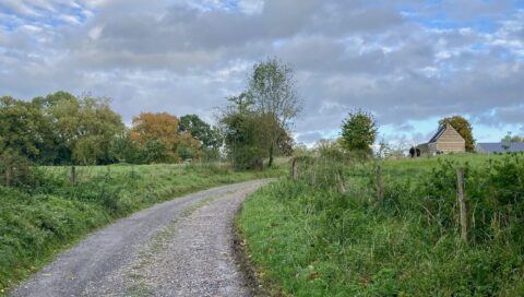Kronkelend grindpad door groene weide met bomen en een huis in de verte onder een bewolkte hemel.