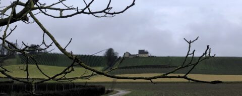 Landschap met kale boomtakken op de voorgrond en een boerderij op heuvel met wijngaarden op de achtergrond.
