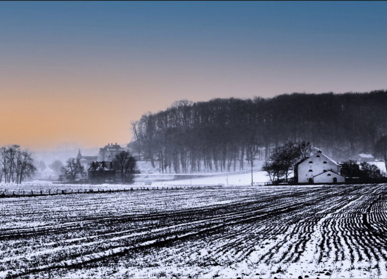 Sneeuwbedekte akker bij zonsopgang, met boerderij en bos aan de horizon.