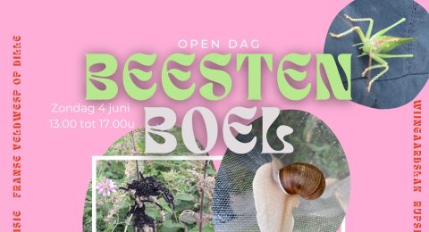 Beestenboel heading