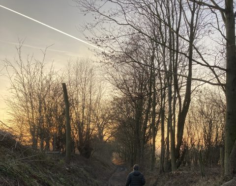 Schemerwandeling 2