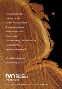 Kerst/Nieuwjaarswens