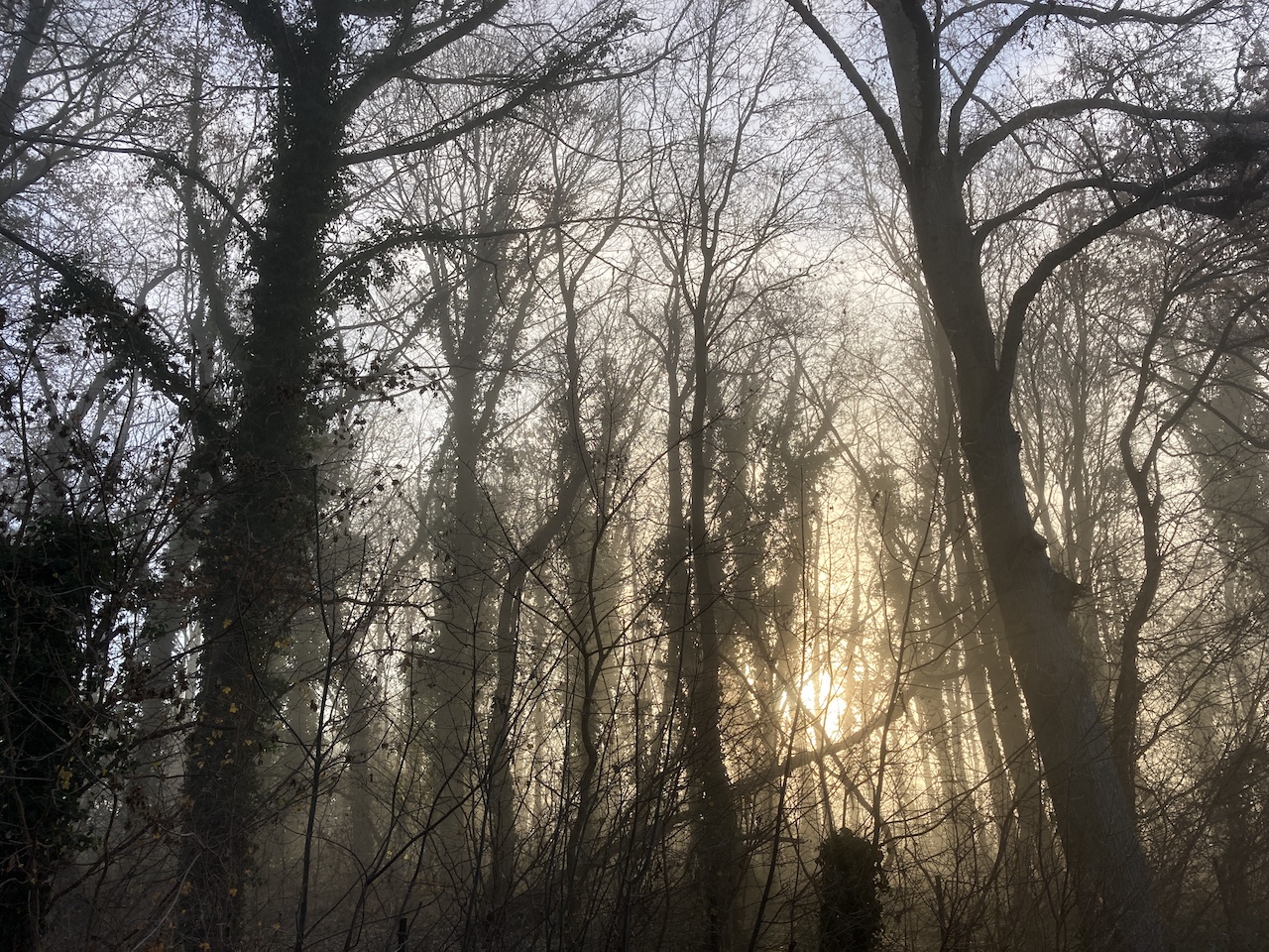 Schemerexcursie 2024 l.r.