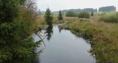 De Petit Roer