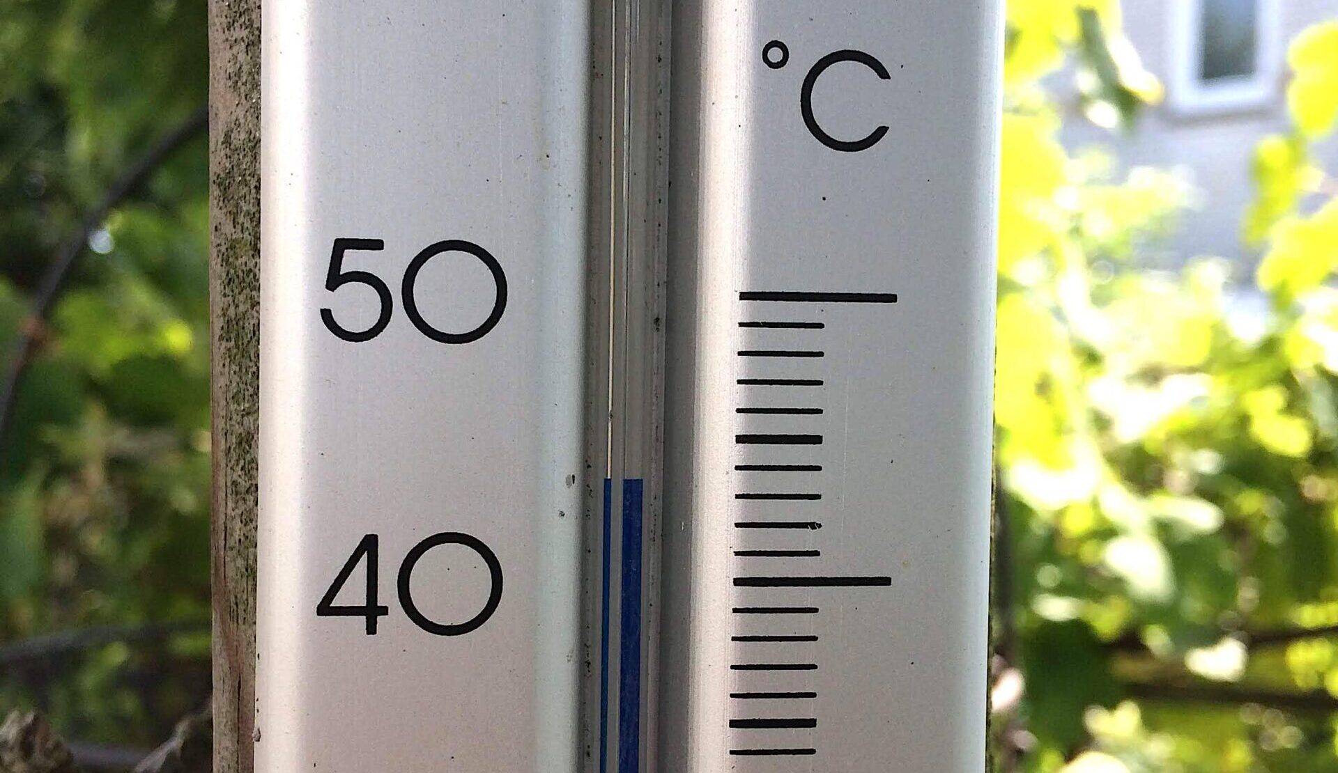Thermometer lees 41°C, omgeven door bladeren en groene achtergrond.