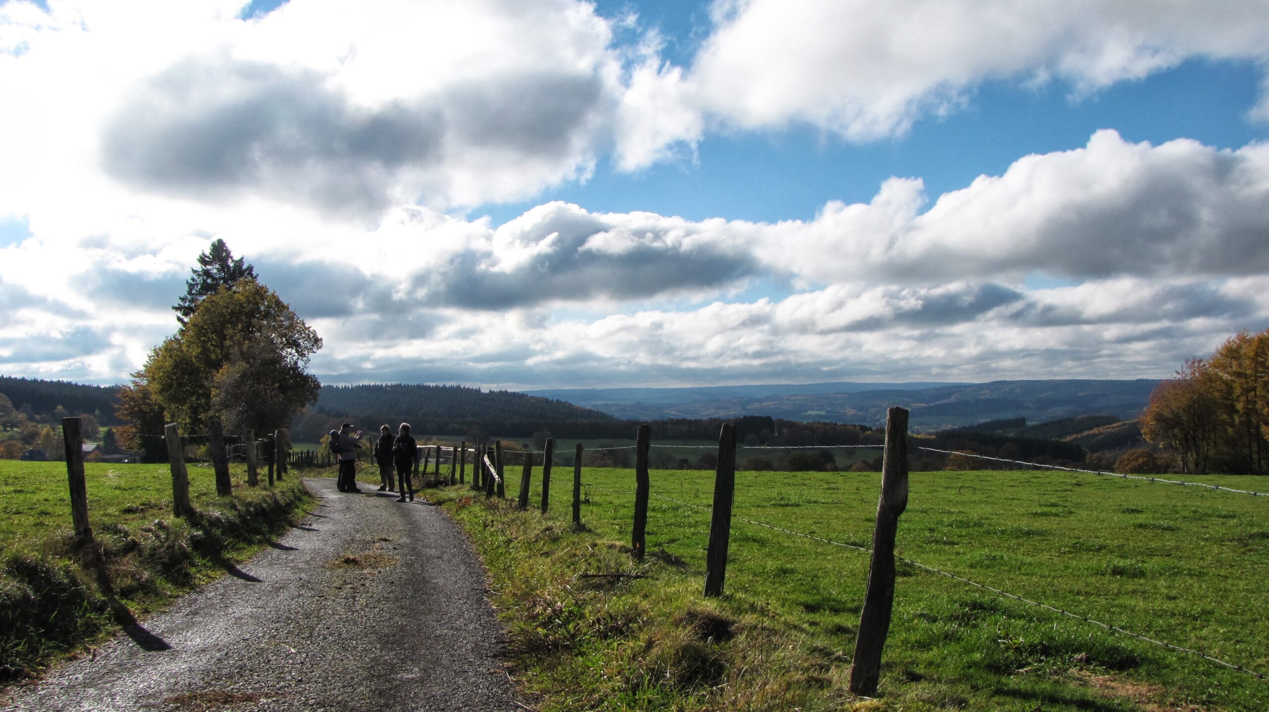 Landelijk pad met wandelaars, omringd door groene weilanden, onder bewolkte hemel.