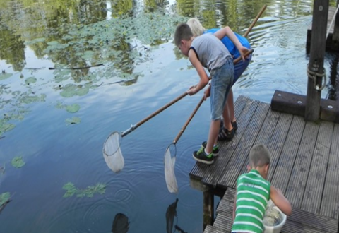 Drie kinderen vangen waterdieren met schepnetten op een houten steiger bij een vijver.